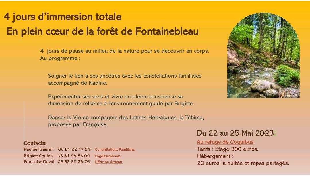 Flyer coquibus